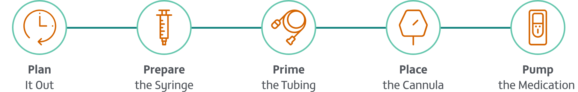 VYALEV 5 Ps: Plan It Out, Prepare the Syringe, Prime the Tubing, Place the Cannula, Pump the Medication.